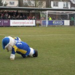 afc-wimbledon-mascot-595x446